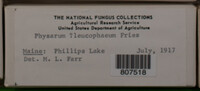 Image Associated With the Occurence